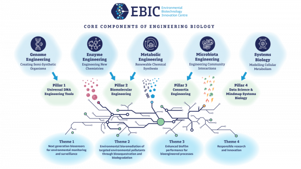 Themes and clusters - Ebic-Hub