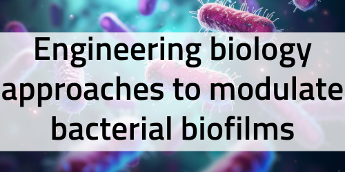 Engineering biology approaches to modulate bacterial biofilms