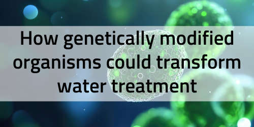 How genetically modified organisms could transform water treatment