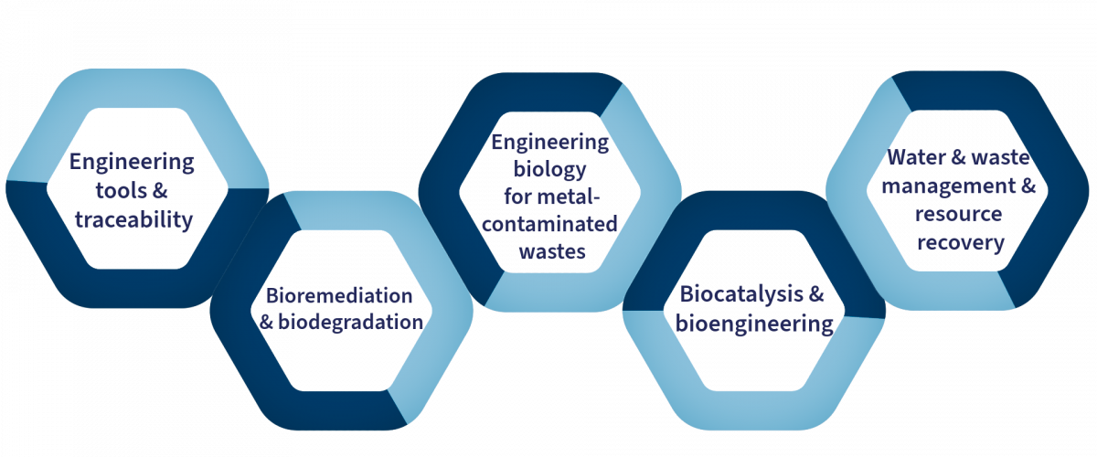 The topics covered at EBES