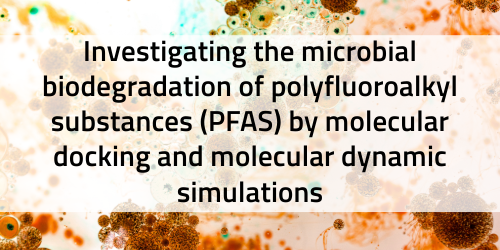Investigating the microbial biodegradation of polyfluoroalkyl substances (PFAS) by molecular docking and molecular dynamic simulations