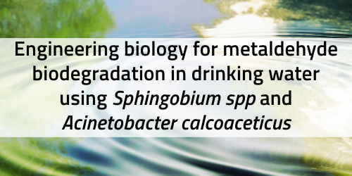 Presentation title: Engineering biology for metaldehyde biodegradation in drinking water using Sphingobium spp and Acinetobacter calcoaceticus