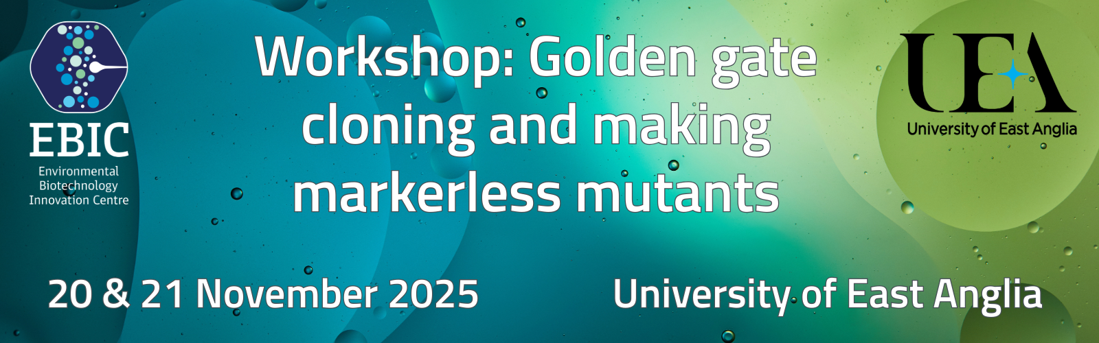 Workshop golden gate cloning (1)