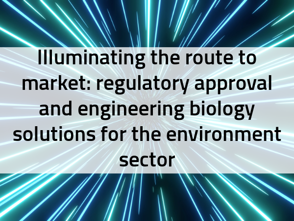 Paper Graphics for Web and newsletter-7 Lyuboslava at New Scientist Live