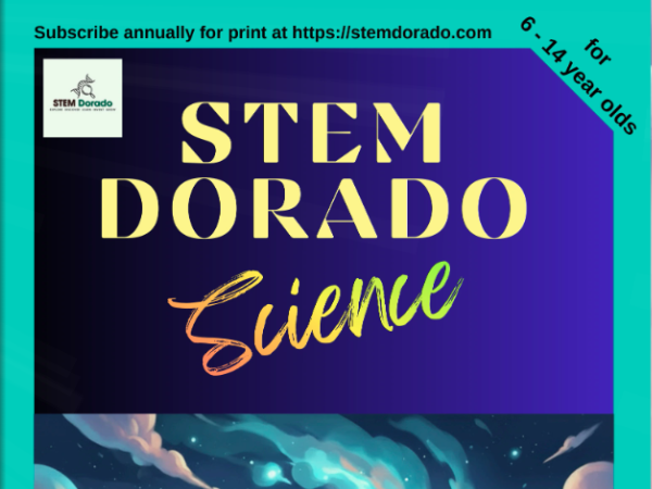 Stem Dorado 2 Image-2 STEM Dorado Magazine