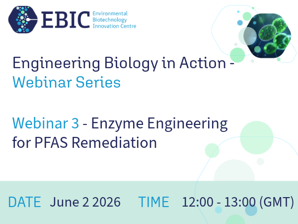 STEM Dorado Magazine 