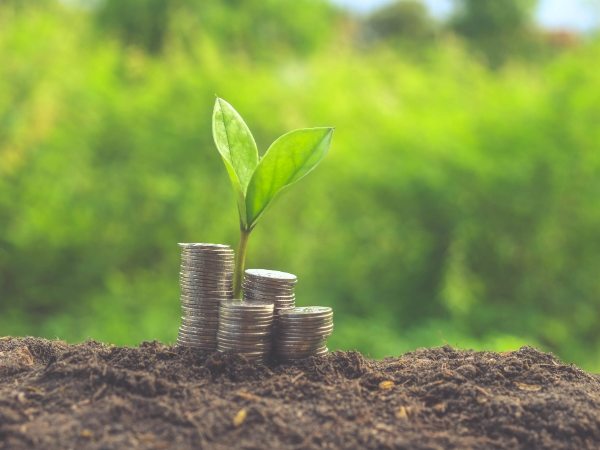 Image to represent funding, a plant growing from a pile of coins
