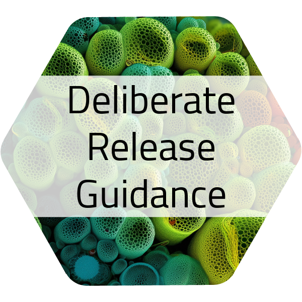 Deliberate Release Guidance